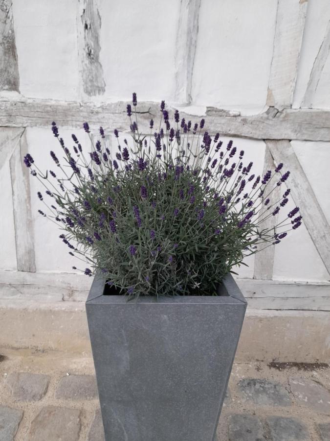 Le Clos De L Agneau Panzió Saint-Amand-sur-Fion Kültér fotó